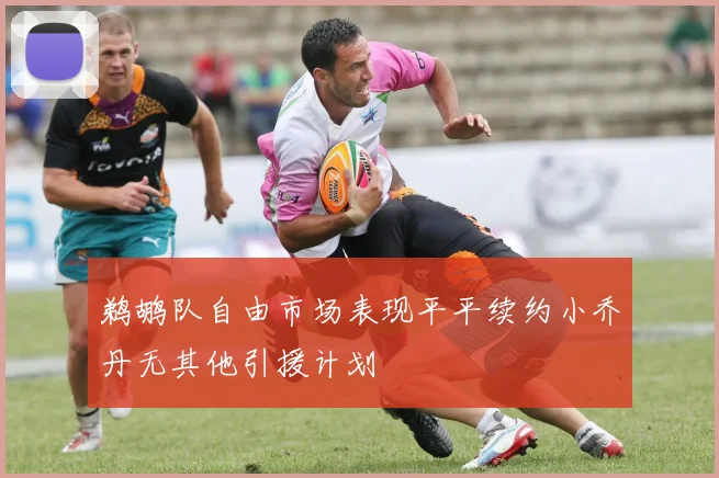 鹈鹕队自由市场表现平平续约小乔丹无其他引援计划